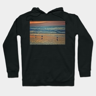 Three Gulls At Sunrise Hoodie